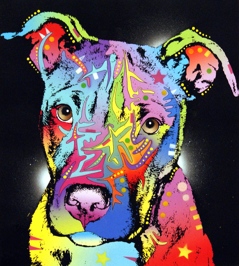 Young Bull Pitbull Painting by Dean Russo Art