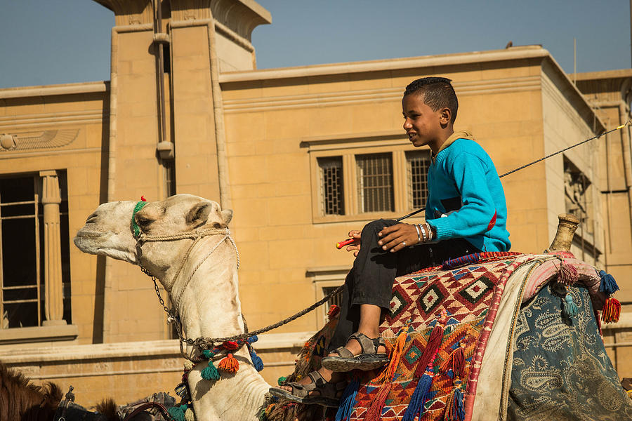 young-camel-jockey-photograph-by-joshua-van-lare-pixels