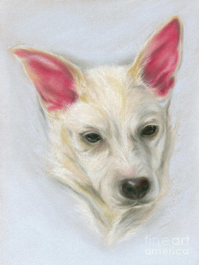 Young Carolina Dog Portrait 2 Painting by MM Anderson