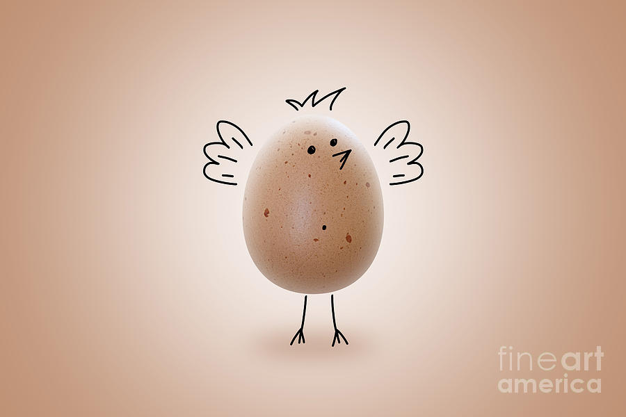 Young Chicken Egg Photograph