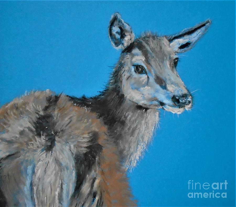 Young Deer Pastel by Angela Cartner