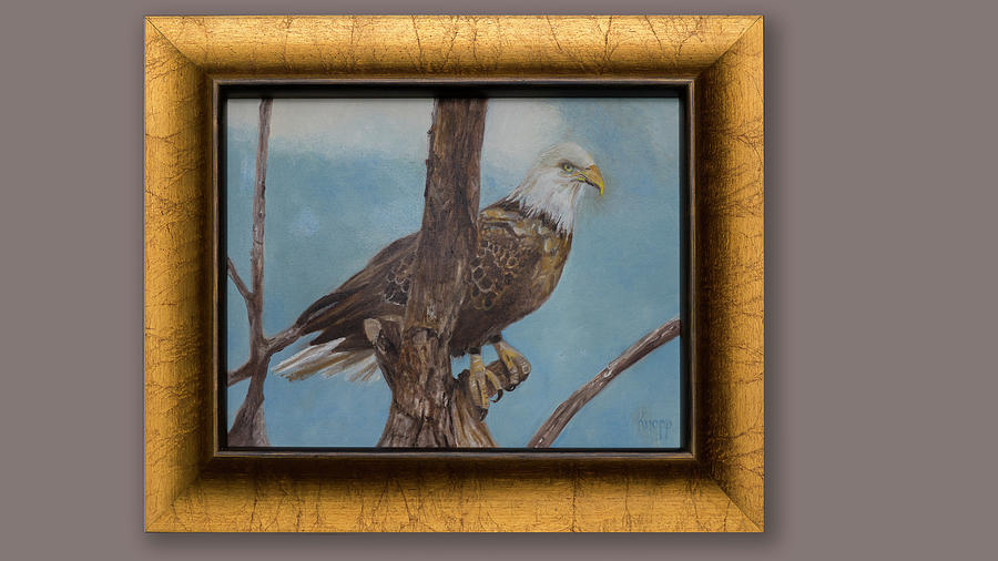 Young Eagle Painting by Kathy Knopp