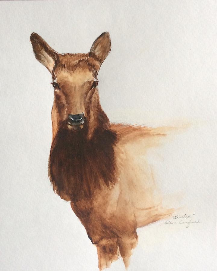 Young Female Elk Painting by Ellen Canfield