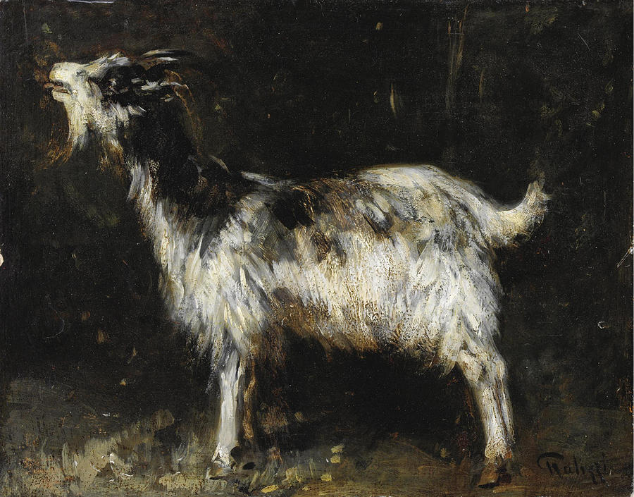 Young Female Goat  Painting by Giuseppe Palizzi