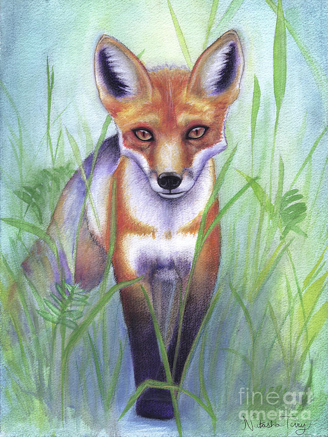 Young Fox Mixed Media by Natasha Terry - Fine Art America