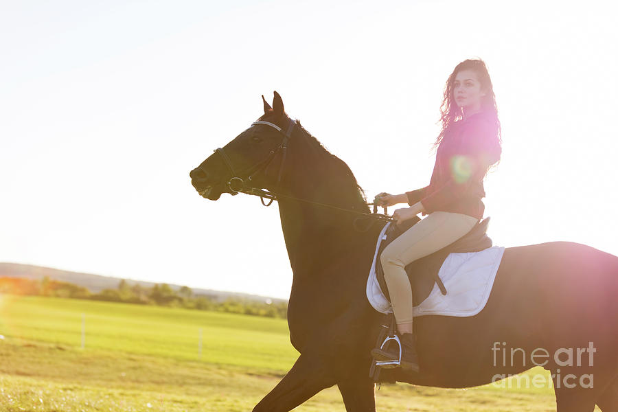 Young girl riding a dark horse in a field on a sunset Photograph by Michal Bednarek