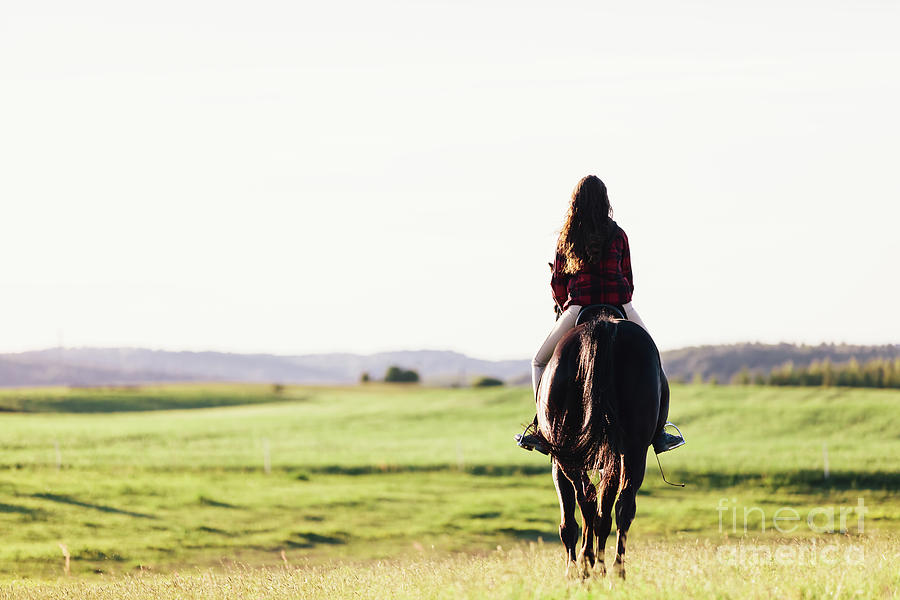 Young girl sitting on a bay horse, riding on the field. Photograph by Michal Bednarek