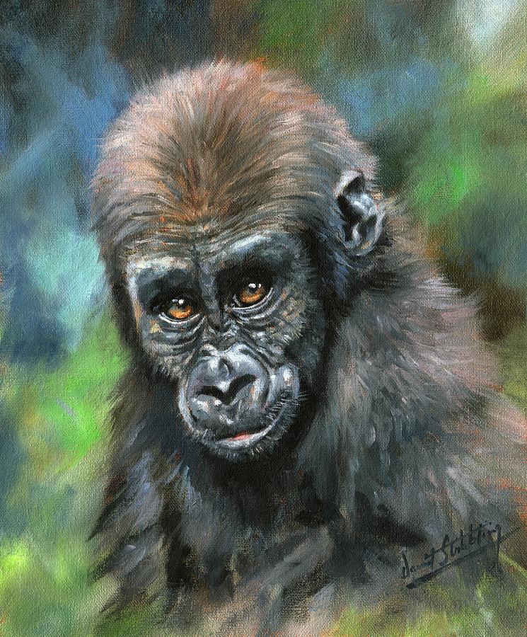Ape Painting - Young Gorilla by David Stribbling