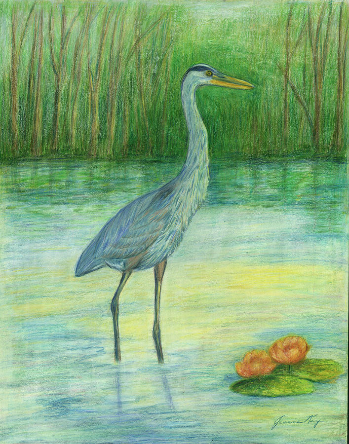 Young Great Blue Heron Painting by Jeanne Juhos