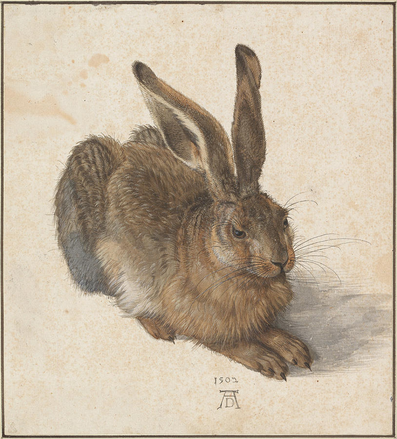 Young Hare Painting by Albrecht