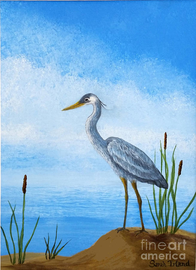 Young Heron Painting by Sarah Irland