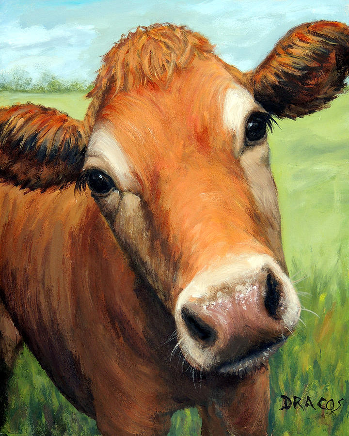 Cow Painting - Young Jersey Cow in Field by Dottie Dracos