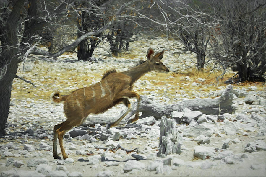 Young Kudu Jump Digital Art by Ernest Echols