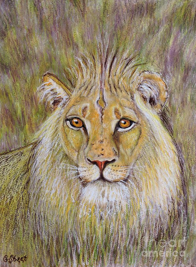 Lion Drawing - Young Leo by Caroline Street