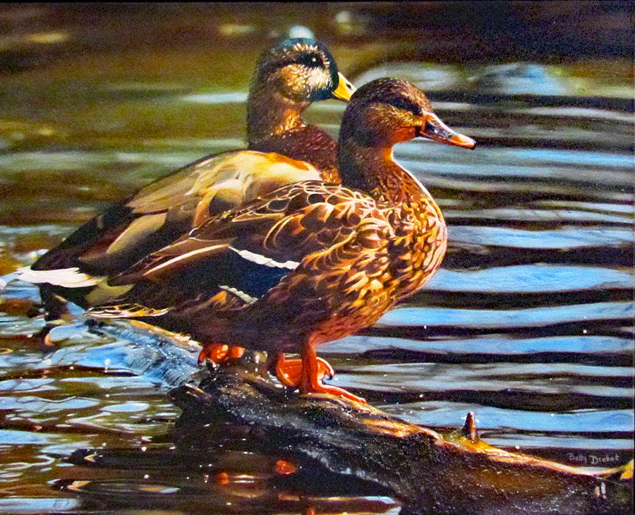 Young Mallards Painting by Betty Drebot - Fine Art America