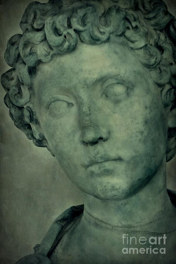 Young Marcus Aurelius Closeup Photograph by Patricia Strand