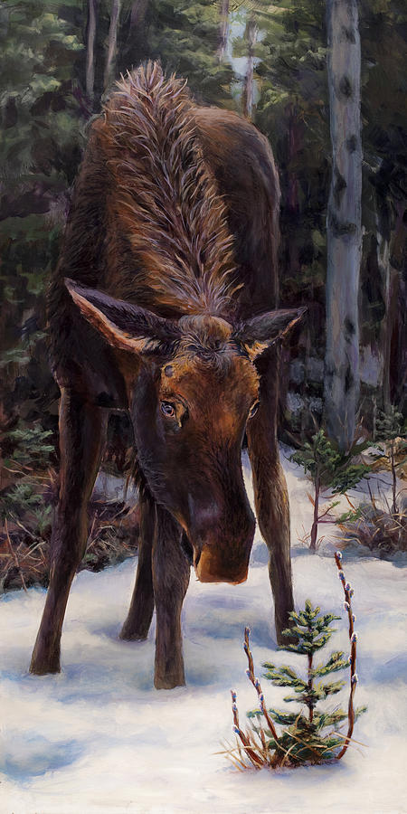 Alaskan Wildlife Painting - Young Moose and Snowy Forest Springtime in Alaska Wildlife Home Decor Painting by K Whitworth