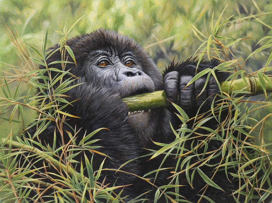 Wildlife Painting - Young Mountain Gorilla by Alan M Hunt
