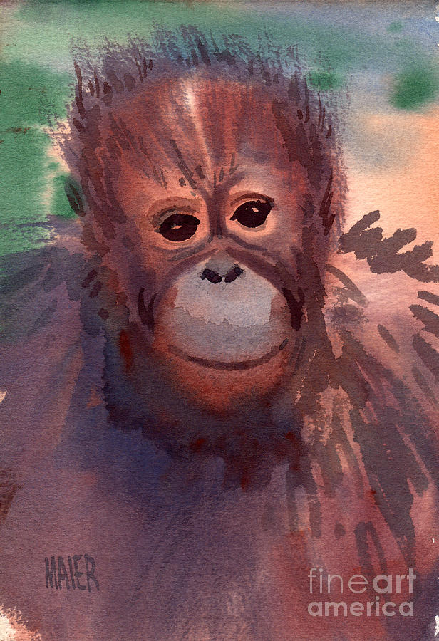 Orangutan Painting - Young Orangutan by Donald Maier