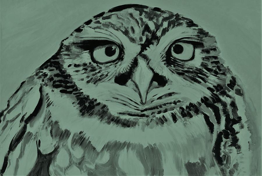Young Owl green filter by Liliane DUMONT-BUIJS Young Owl green filter by Liliane DUMONT-BUIJS