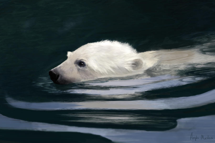 Young Polar Bear Swimming Digital Art by Angela Murdock