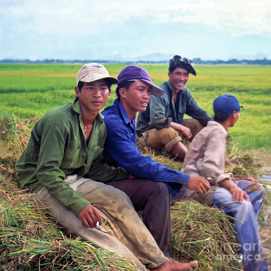 Young Rice Farmers Photograph by Silva Wischeropp
