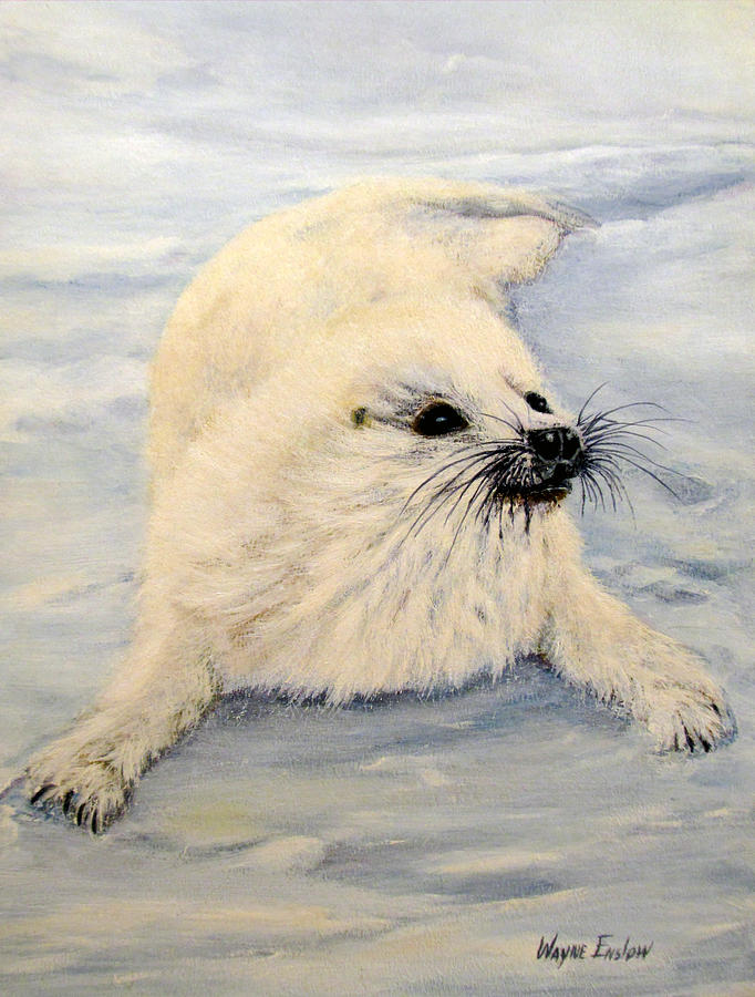 Young Seal Painting by Wayne Enslow