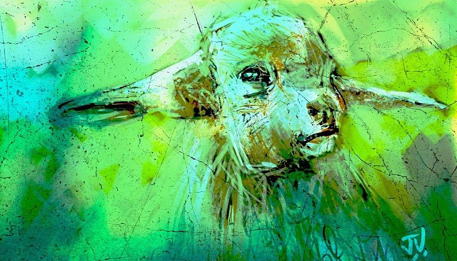 Sheep Painting - Young Sheep by Jim Vance