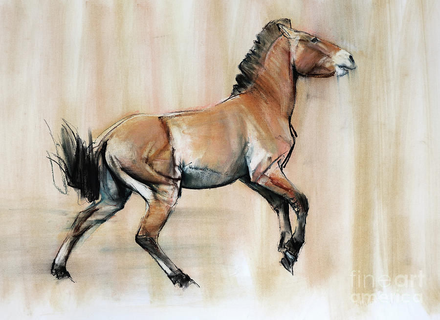 Young Stallion Pastel by Mark Adlington