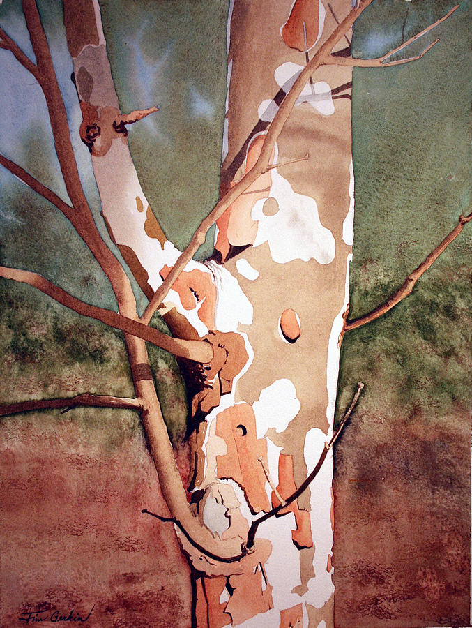 Young Sycamore Painting by Jim Gerkin
