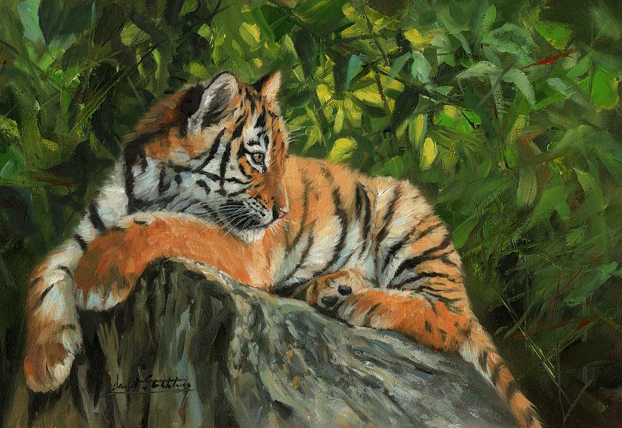 Young Tiger Resting On Rock Painting by David Stribbling