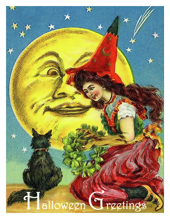Young witch with black cat on a full moon Mixed Media by Long Shot