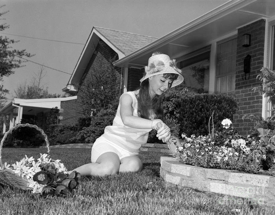 Young Woman Gardening, C.1960s Photograph by H Armstrong Roberts and ClassicStock