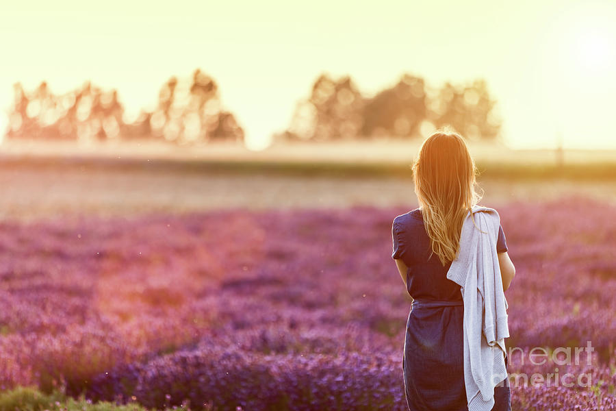 Young woman relaxing looking on lavender field at sunset Photograph by Michal Bednarek