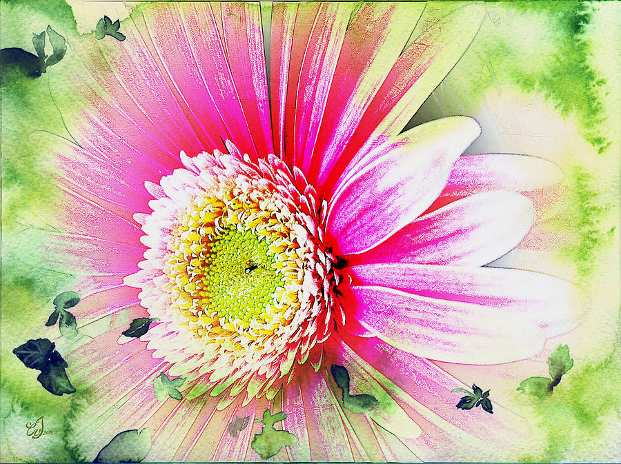 Flower Photograph - Your Beauty by Music of the Heart Flower Photograph - Your Beauty by Music of the Heart