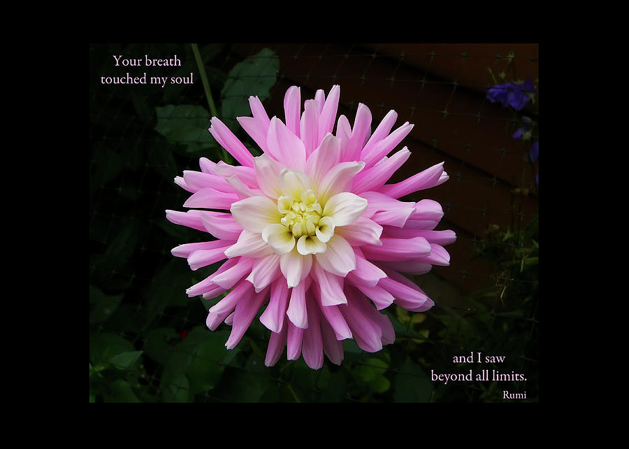 Your Breath Touched my Soul Photograph by Rhonda McDougall