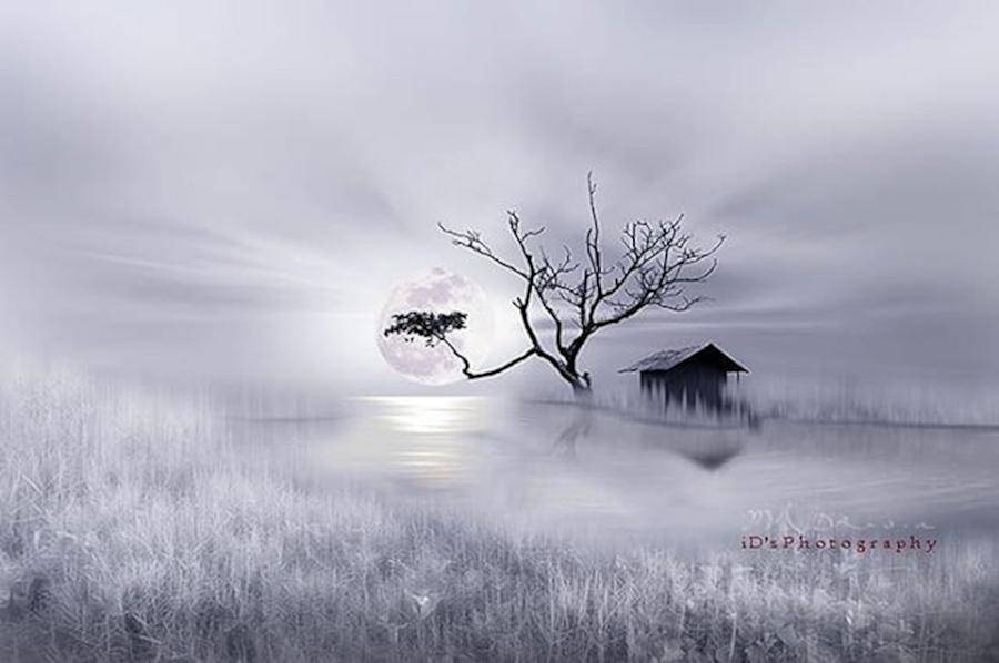 Nightsky Photograph - Your Dream, My Dream Never by Idrus Ids