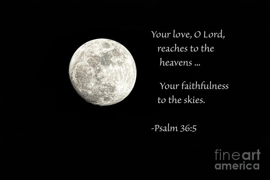 Inspirational Photograph - Your Faithfulness by Sharon McConnell