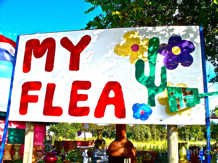 Flea Market Photograph - Your Flea not My Flea by Chuck Taylor