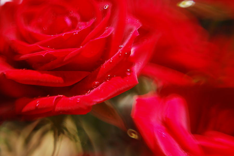 Your Love Spins Me 'Round by Beverly Stapleton Your Love Spins Me 'Round by Beverly Stapleton
