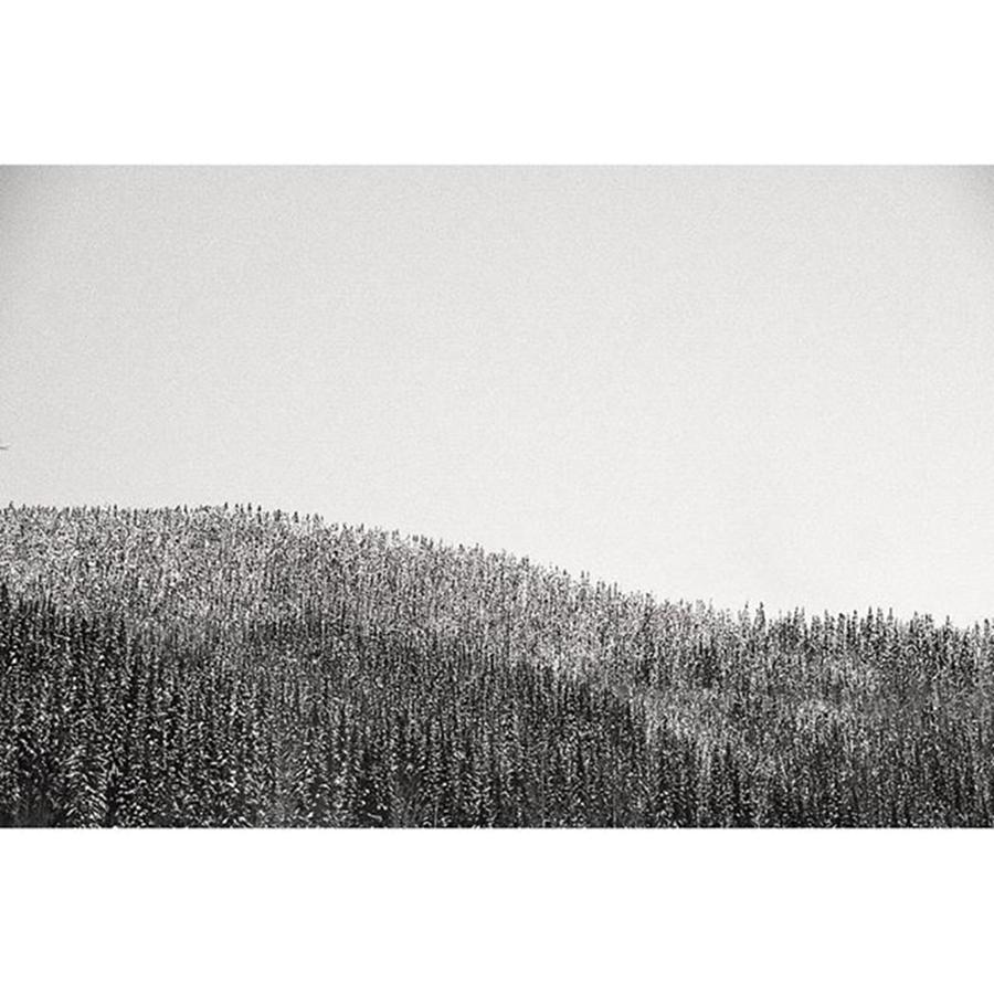 Tree Photograph - Your Morning Klondike Landscape. #yukon by Christopher Healey
