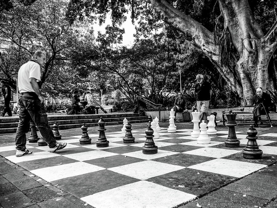 Your Move Photograph by Lexa Harpell