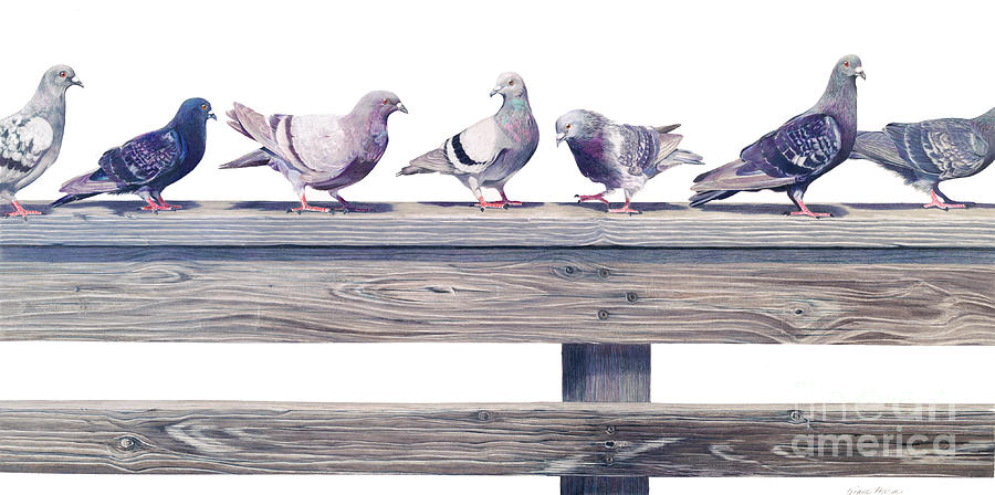 Pigeons Painting - Your Other Left by Diane Harm Pigeons Painting - Your Other Left by Diane Harm