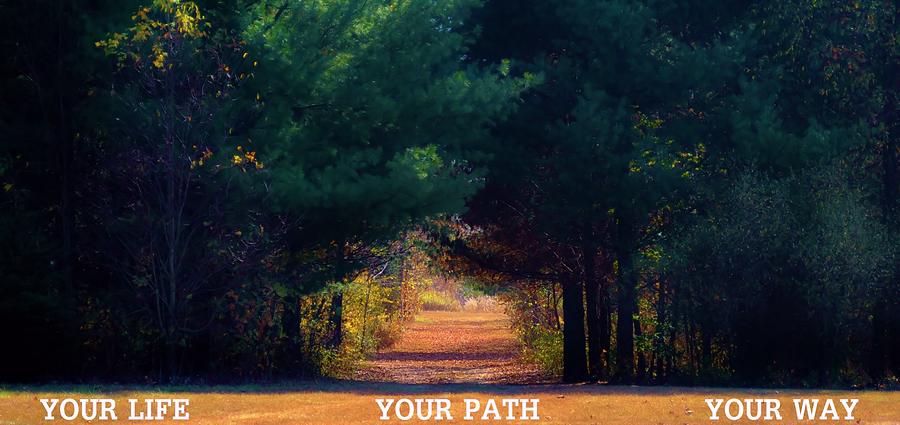 Tree Photograph - Your Path Your Way by Michelle McPhillips