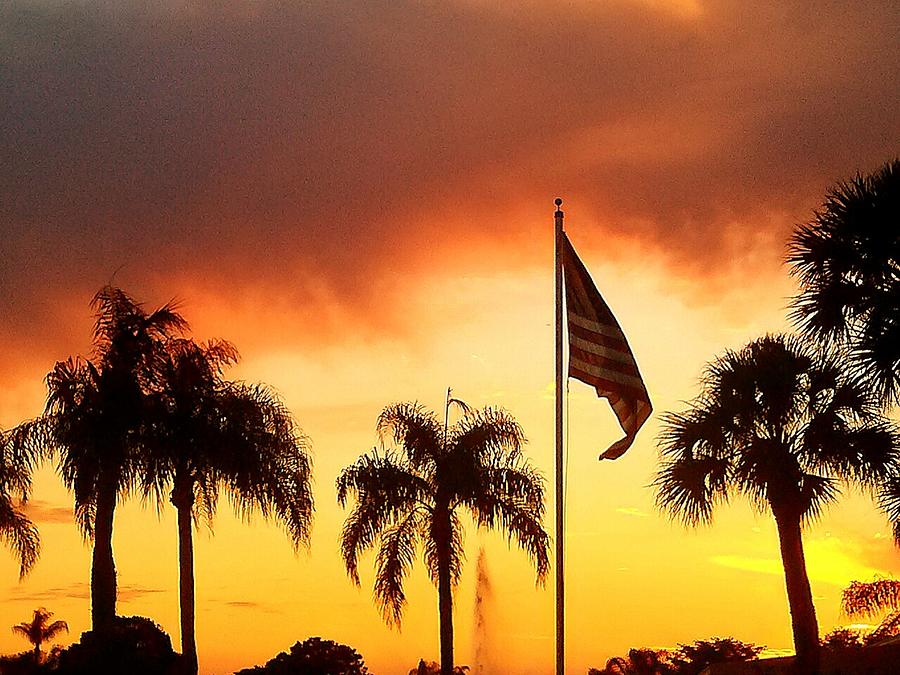 Proud Palm Trees N Old Glory Photograph by Judith Asmus Hill