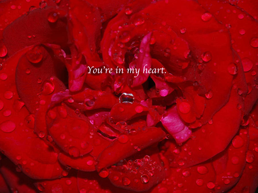 Youre in My Heart A Photograph by Christine McCole