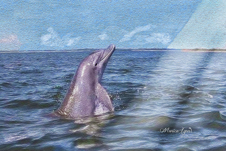 Dolphin Digital Art - Youve Got a Friend by Monica Lynn