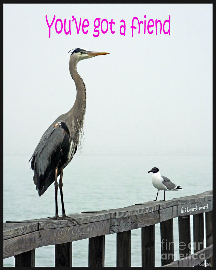 Heron Photograph - Youve Got a Friend Tee by Lizi Beard-Ward