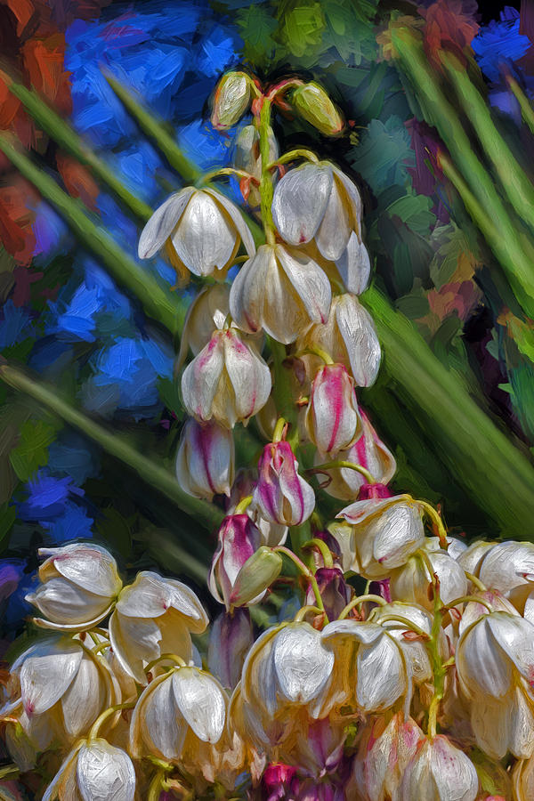 Flowers Still Life Photograph - Yucca blossom by Anatoly Vinokurov