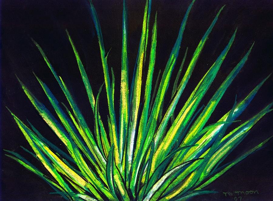 Yucca Drawing by Melvin Moon